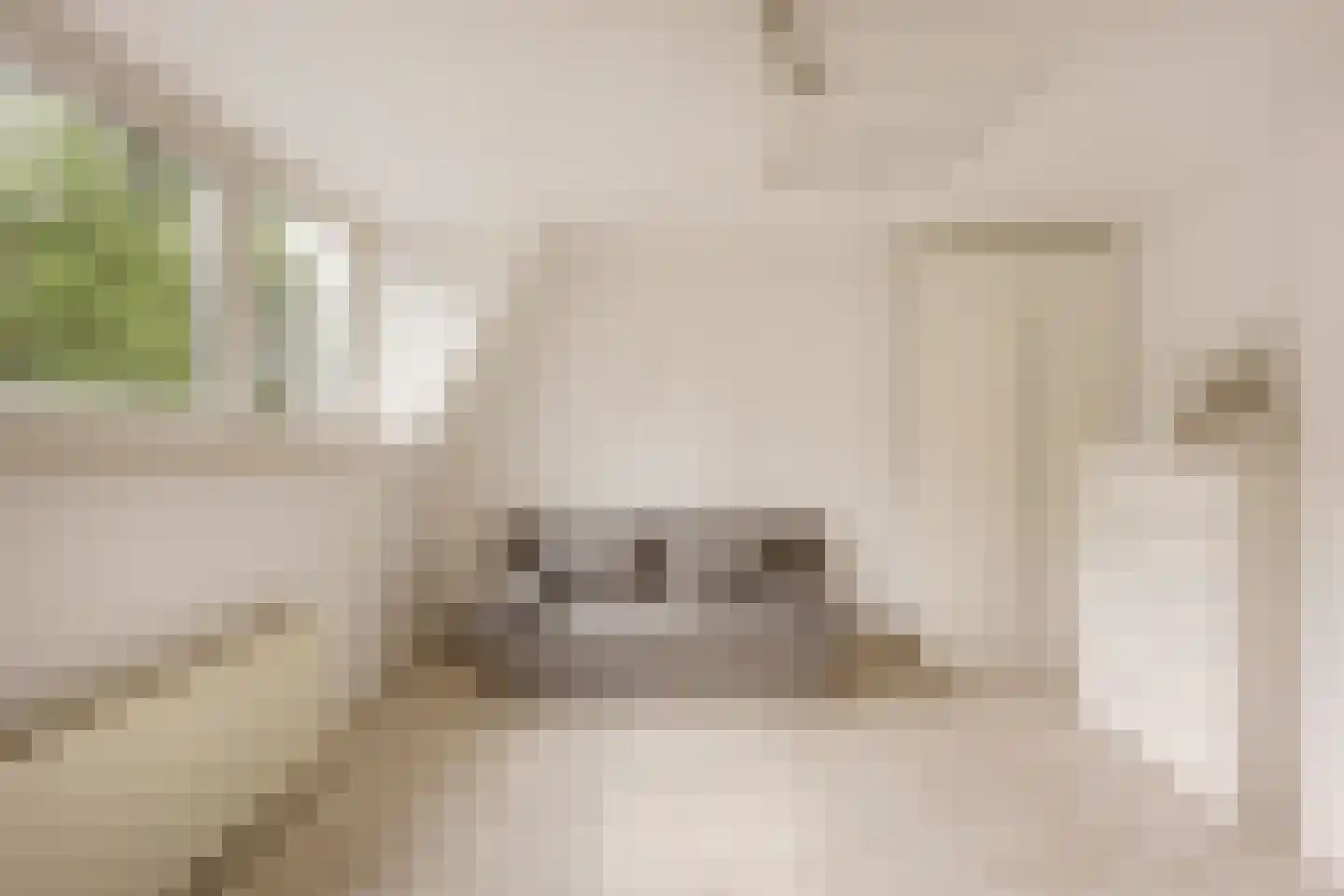 van Wassenaerstraat 82 Voorburg thumbnail 21
