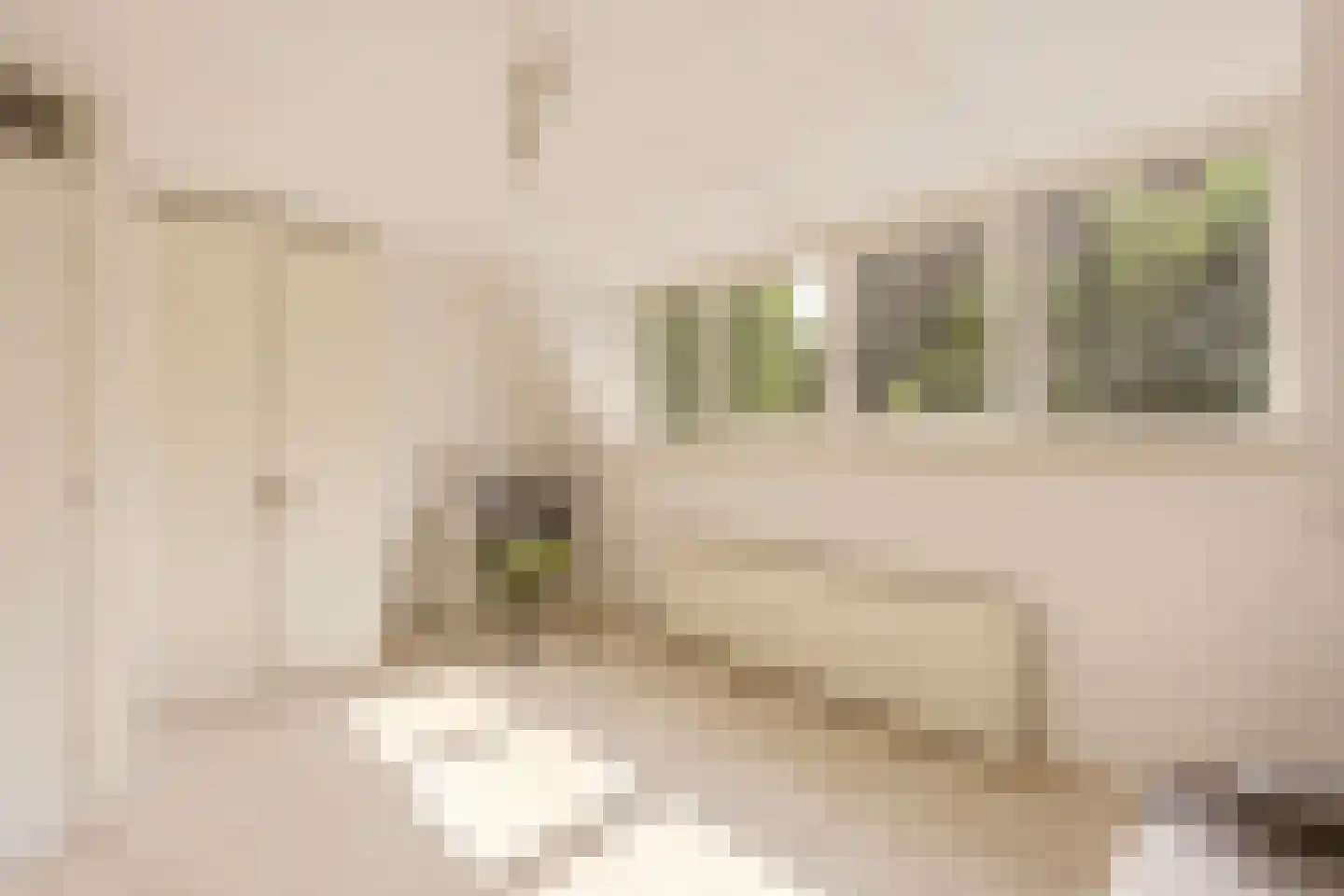 van Wassenaerstraat 82 Voorburg thumbnail 22