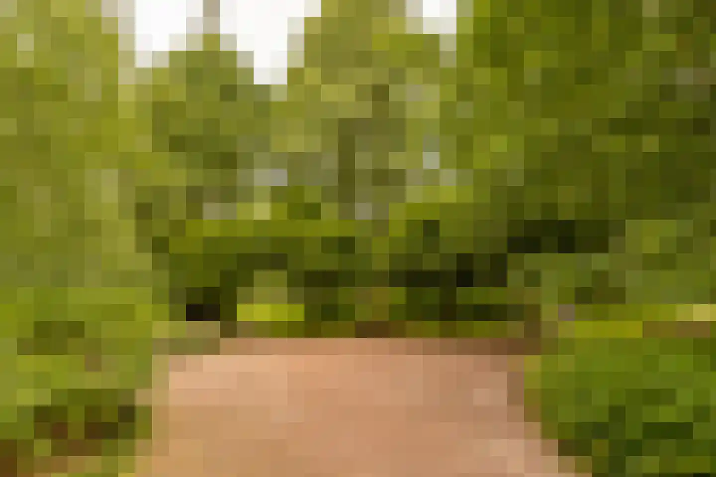 van Wassenaerstraat 82 Voorburg thumbnail 31