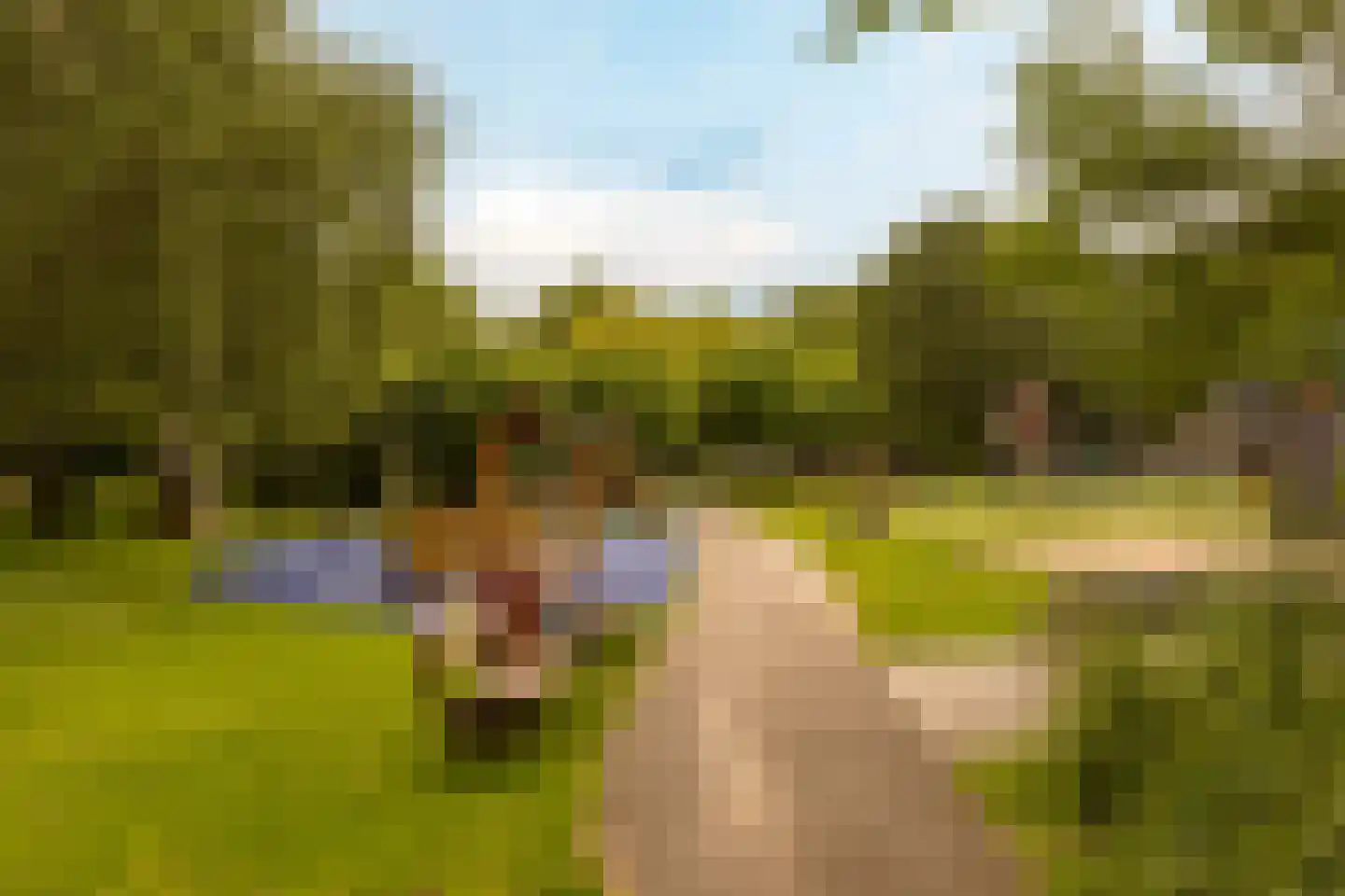 van Wassenaerstraat 82 Voorburg thumbnail 33
