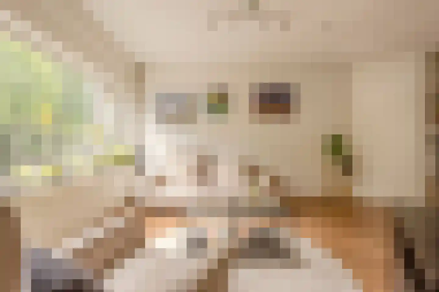 van Wassenaerstraat 82 Voorburg thumbnail 7