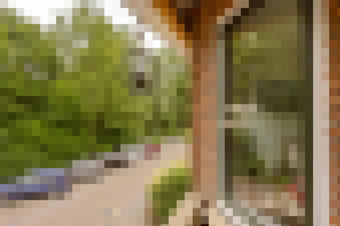 van Wassenaerstraat 82 Voorburg thumbnail 8