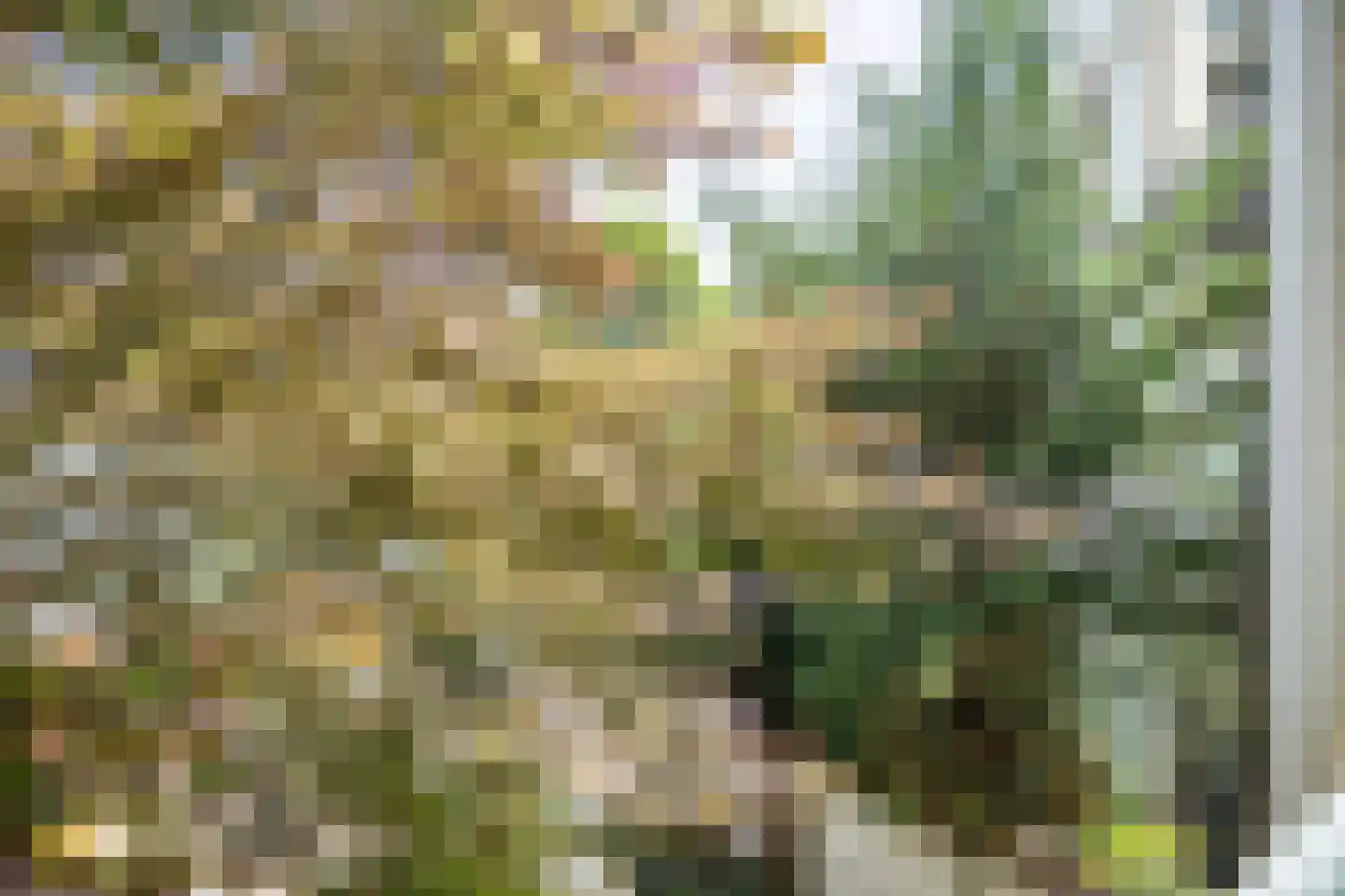 van Wassenaerstraat 9 Voorburg thumbnail 20