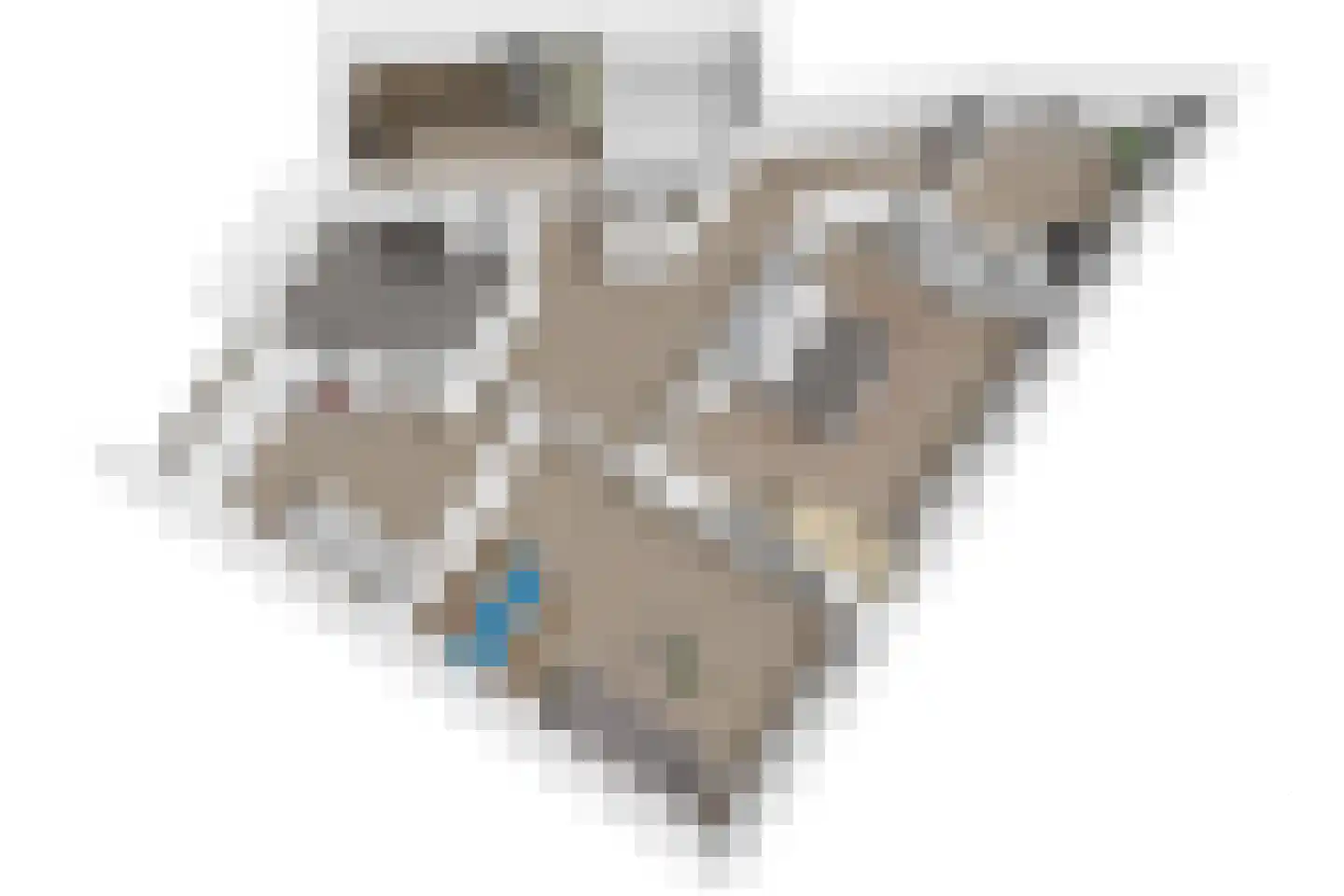 van Wassenaerstraat 9 Voorburg thumbnail 45
