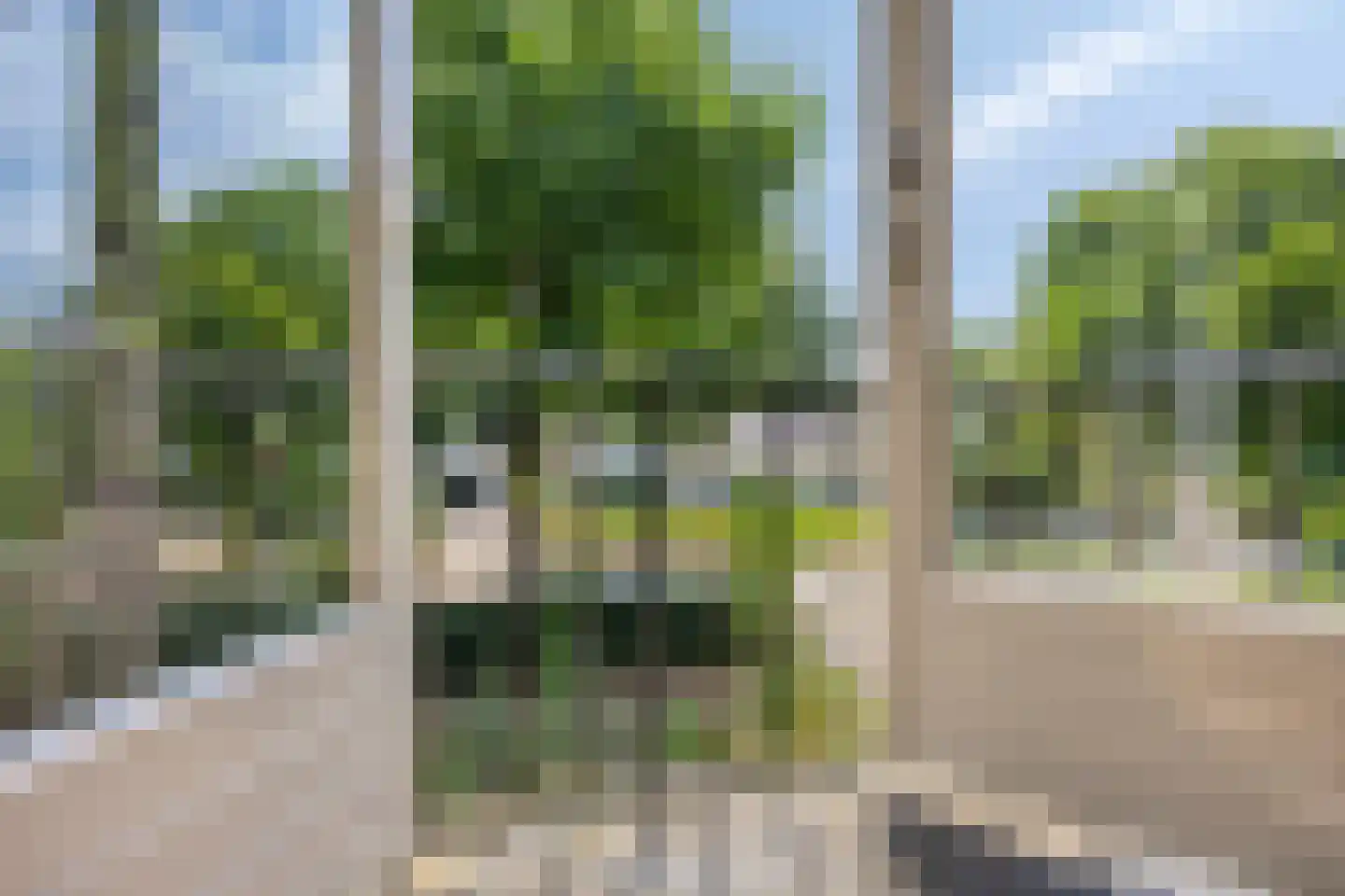 van Wassenaerweg 21 Oosterbeek thumbnail 35