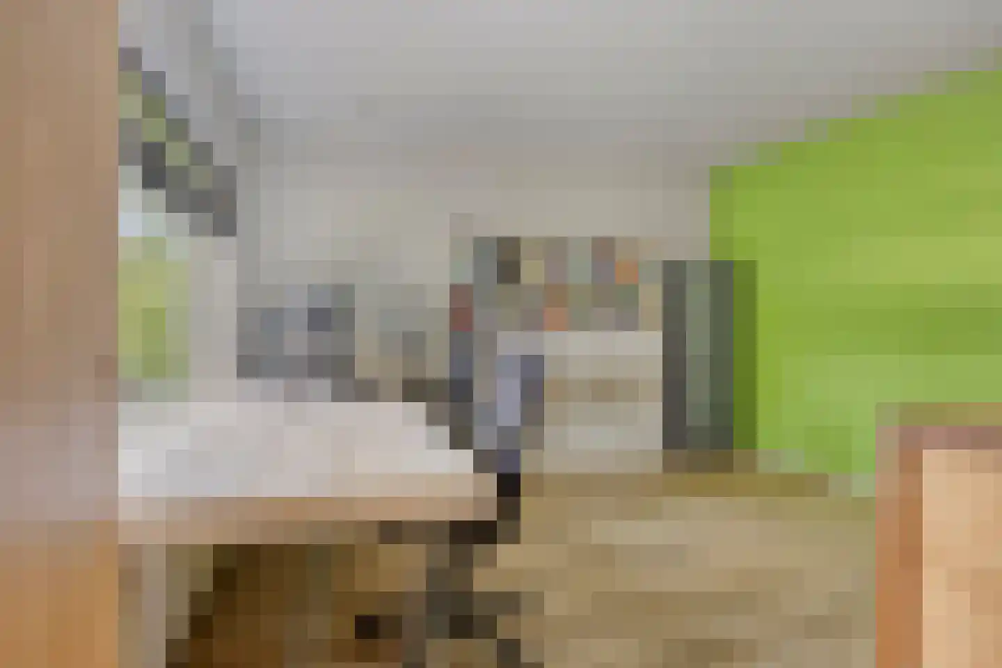 van Wassenaerweg 21 Oosterbeek thumbnail 37