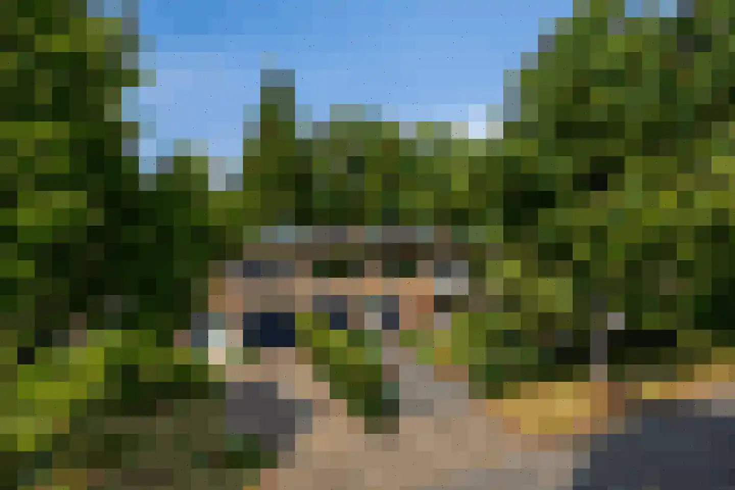 van Wassenaerweg 21 Oosterbeek thumbnail 46