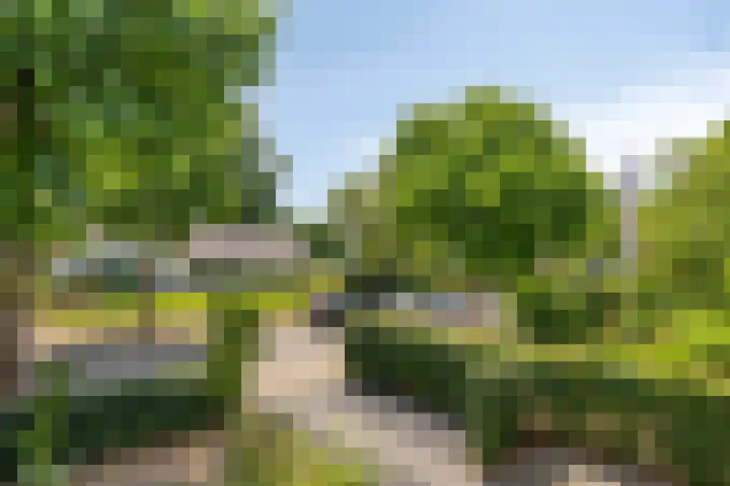 van Wassenaerweg 21 Oosterbeek thumbnail 48