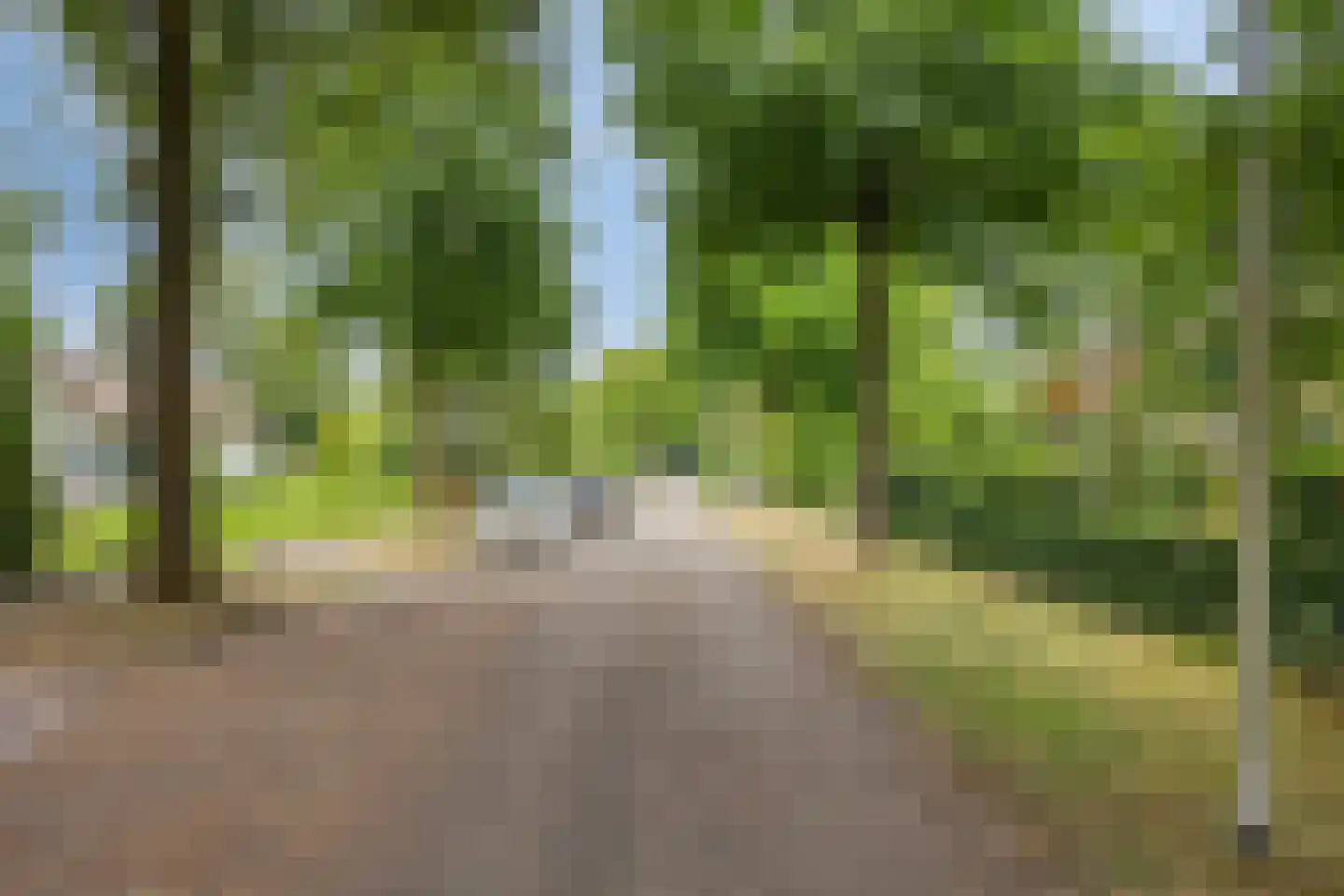 van Wassenaerweg 21 Oosterbeek thumbnail 49