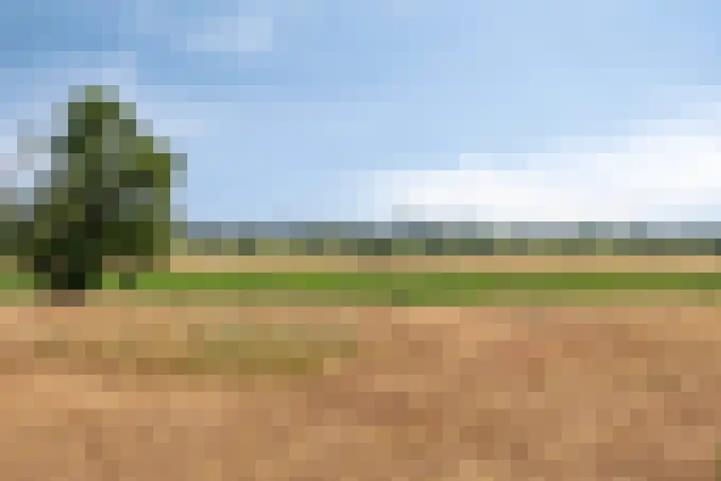 van Wassenaerweg 21 Oosterbeek thumbnail 50