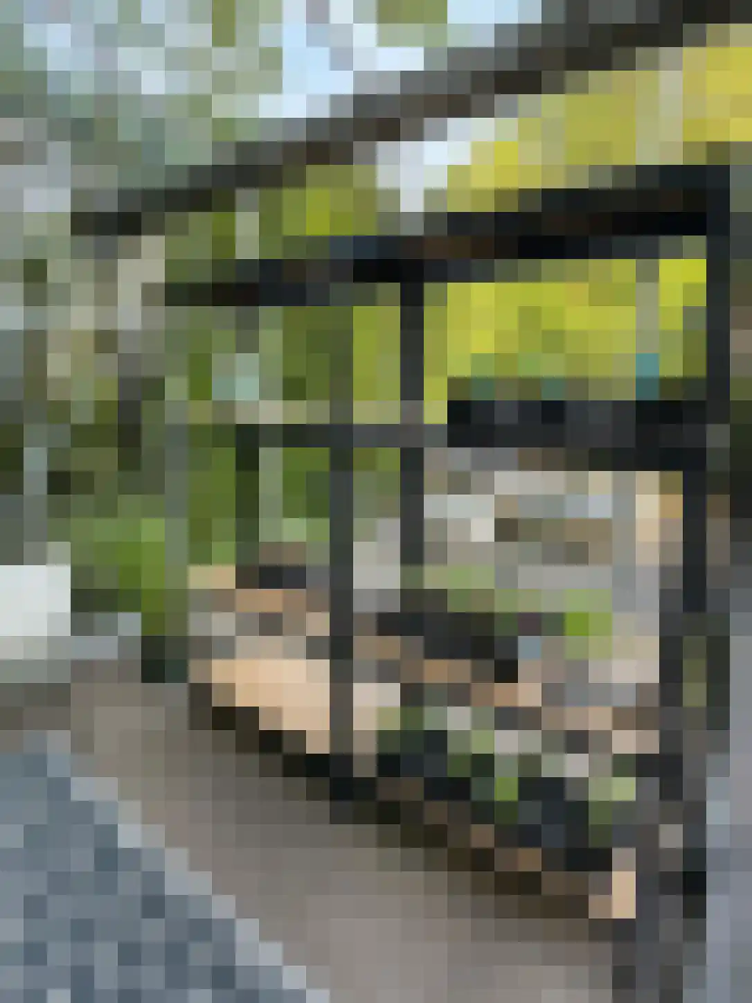 van Wassenaerweg 21 Oosterbeek thumbnail 7