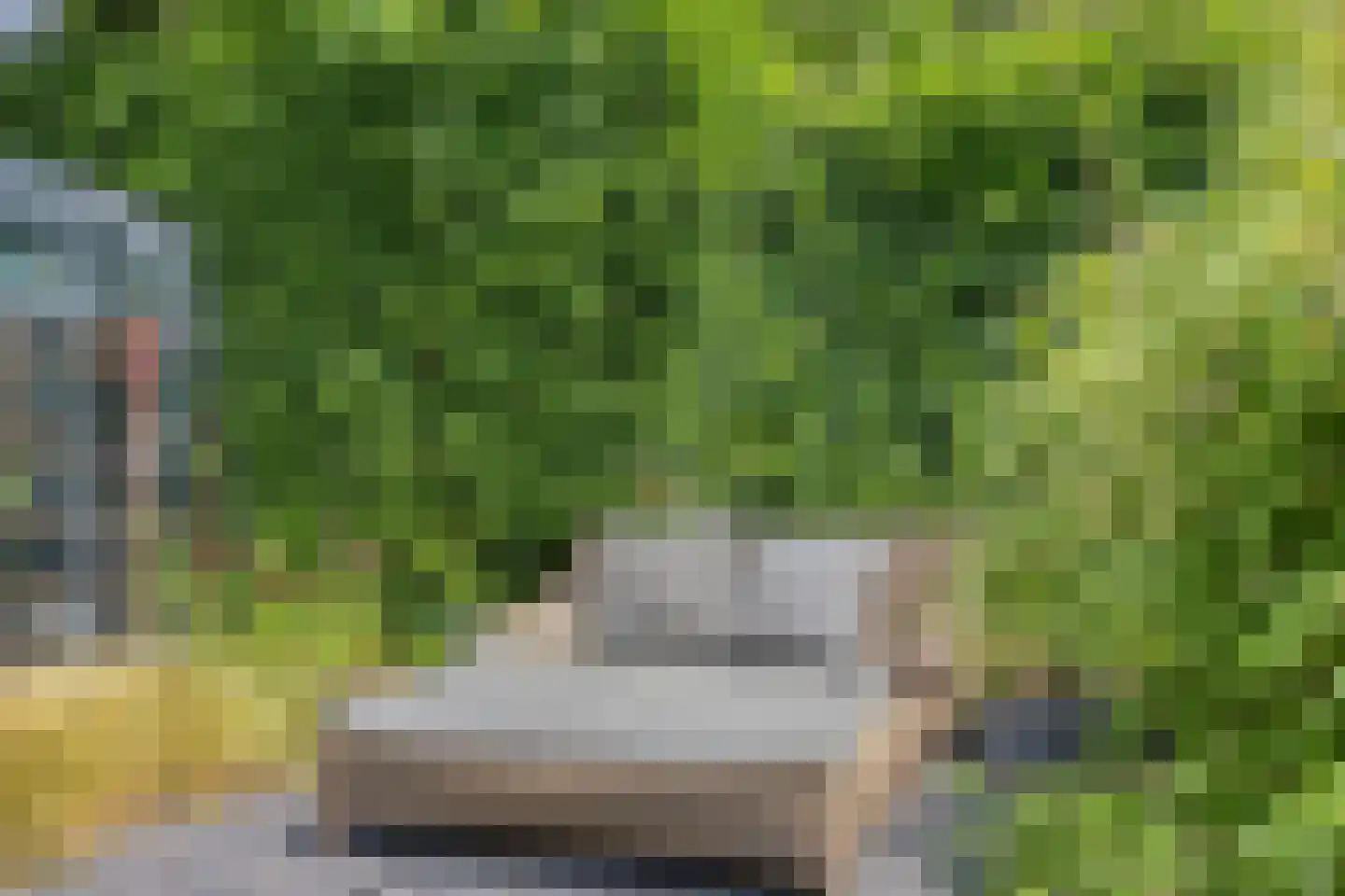 van Wassenaerweg 21 Oosterbeek thumbnail 8