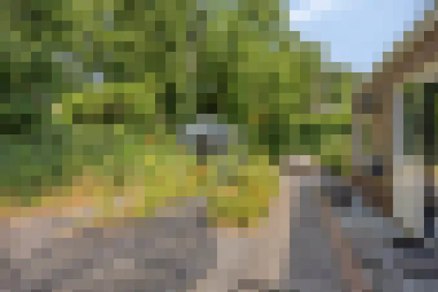 van Wassenaerweg 21 Oosterbeek thumbnail 9