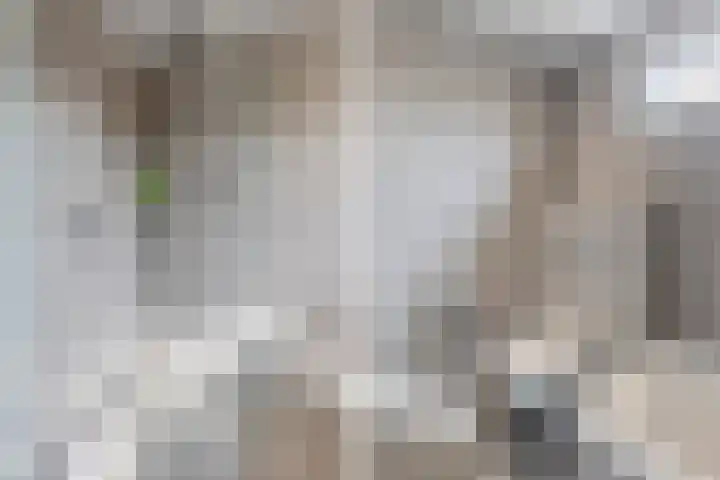 van Wassenbergstraat 8 Gilze thumbnail 32
