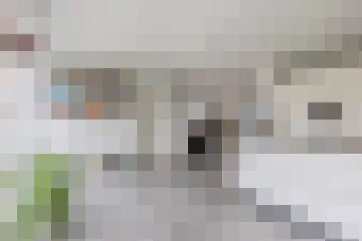 van Wassenbergstraat 8 Gilze thumbnail 4