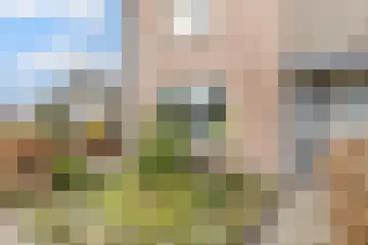 van Wassenbergstraat 8 Gilze thumbnail 41