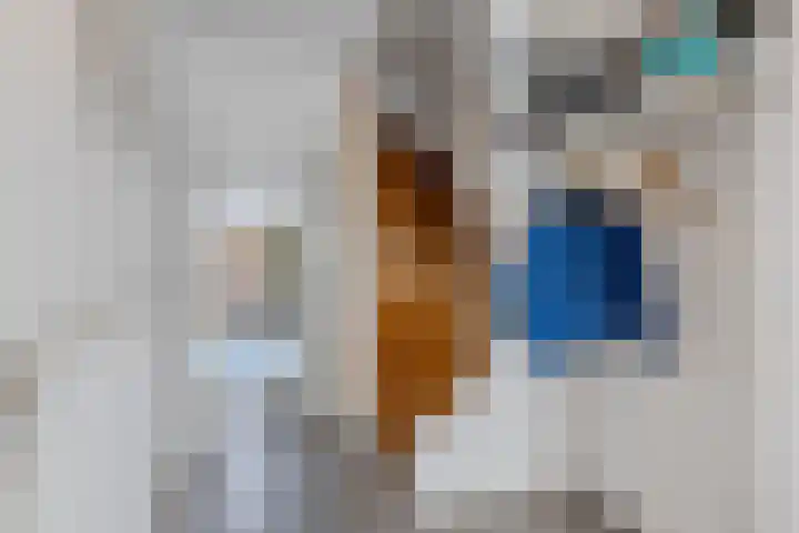 van Wassenbergstraat 8 Gilze thumbnail 6