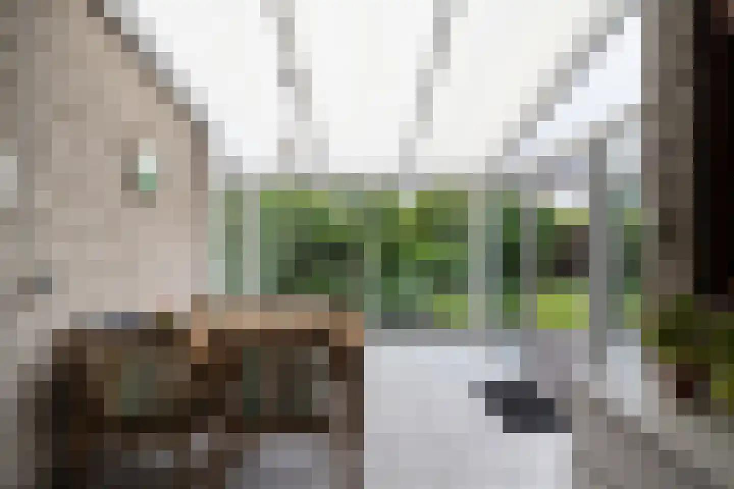van Wassenhovenstraat 34 Nieuw-Beijerland thumbnail 17