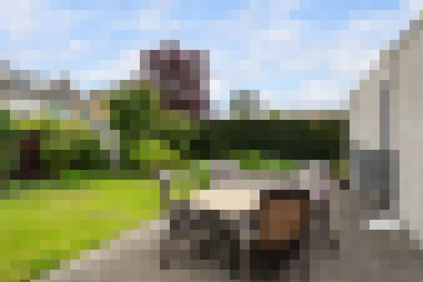 van Wassenhovenstraat 34 Nieuw-Beijerland thumbnail 18