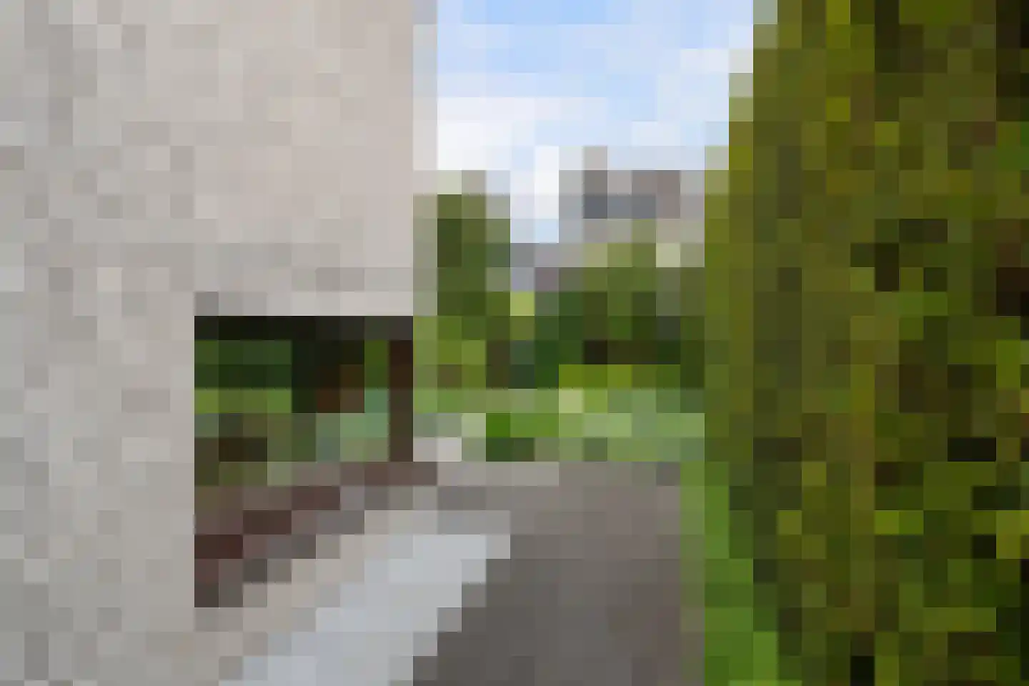 van Wassenhovenstraat 34 Nieuw-Beijerland thumbnail 23