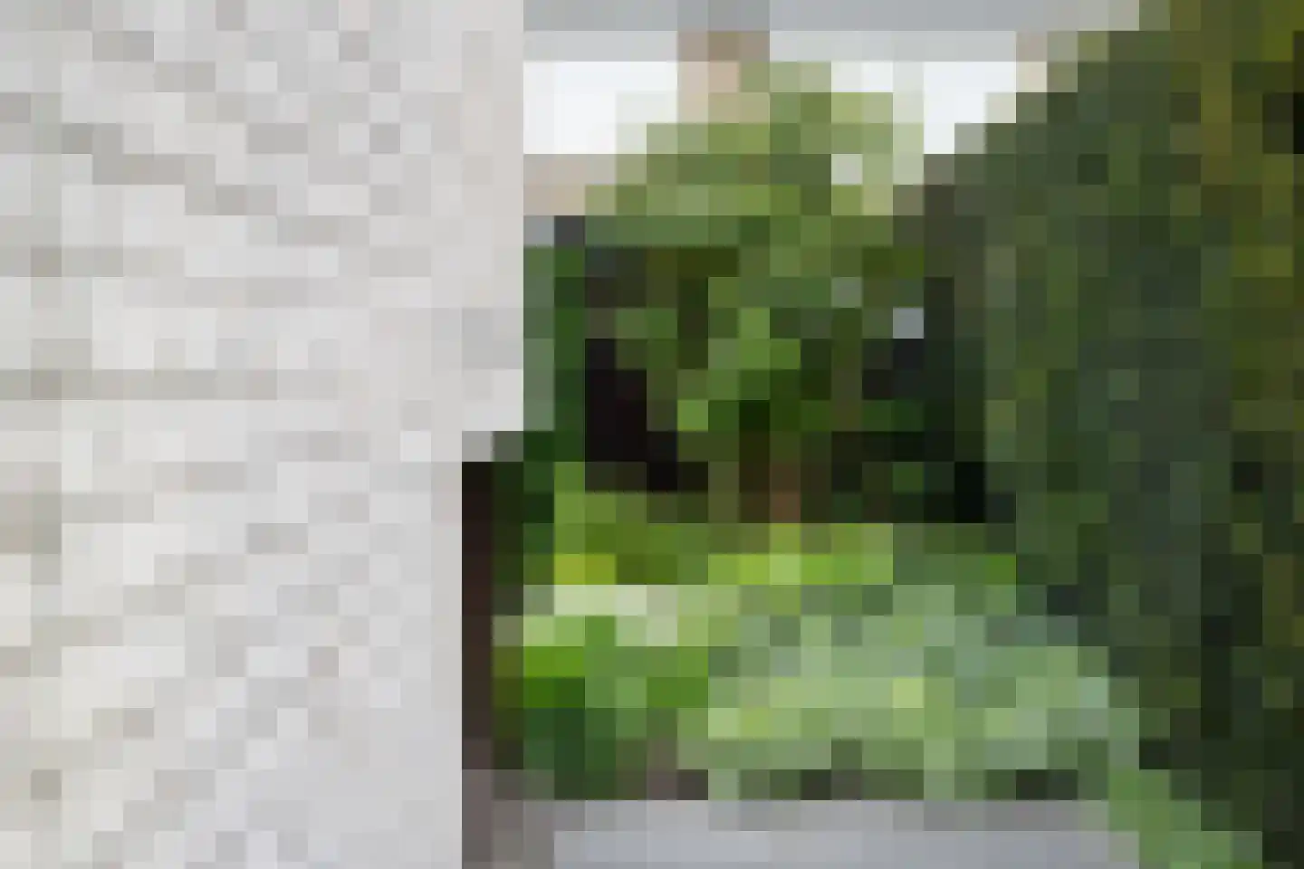 van Wassenhovenstraat 34 Nieuw-Beijerland thumbnail 24