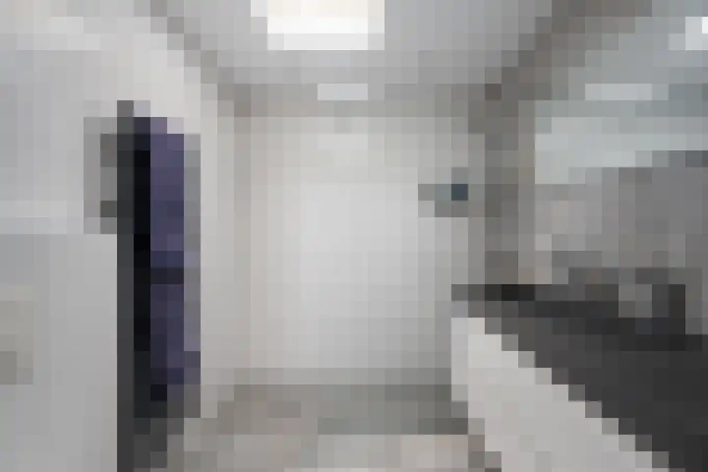 van Wassenhovenstraat 34 Nieuw-Beijerland thumbnail 27