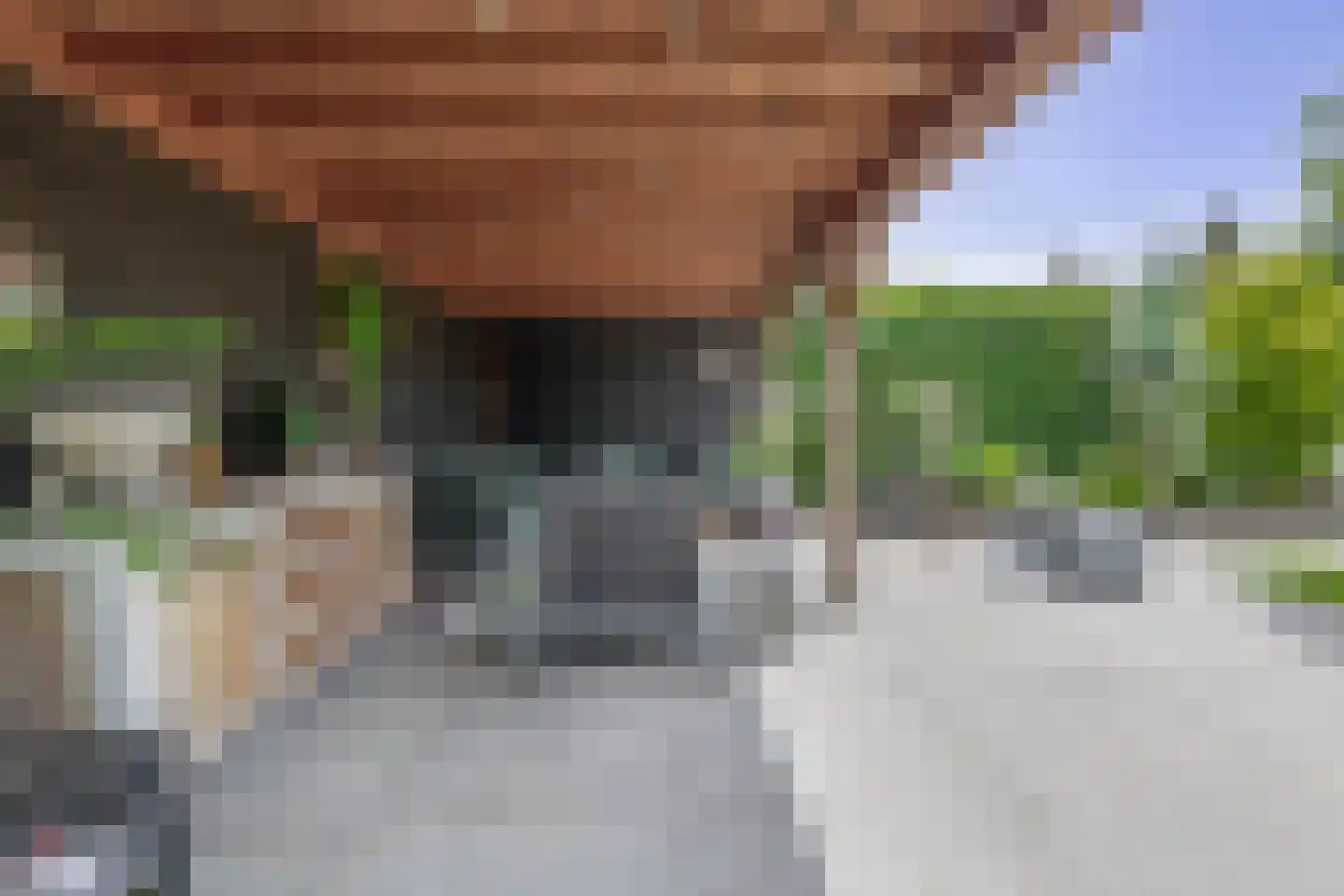 van Wassenhovenstraat 36 Nieuw-Beijerland thumbnail 37