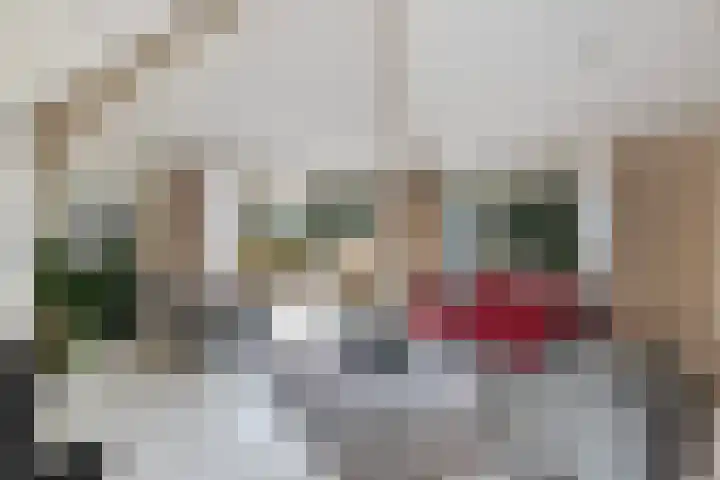 van Wassenhovenstraat 5 Nieuw-Beijerland thumbnail 12