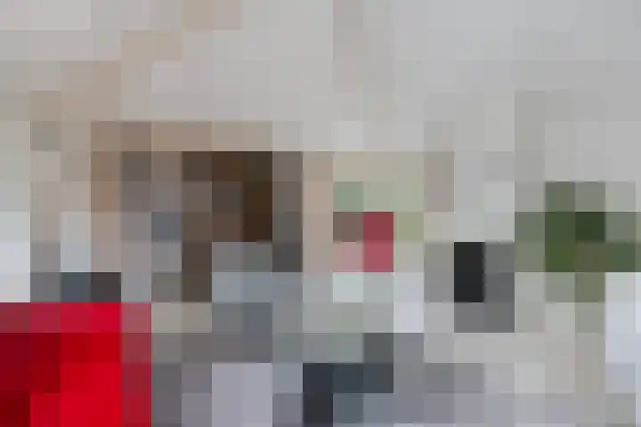 van Wassenhovenstraat 5 Nieuw-Beijerland thumbnail 13