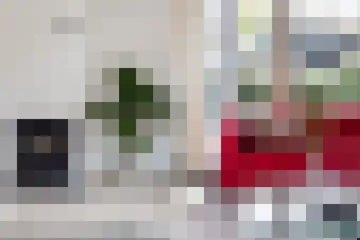 van Wassenhovenstraat 5 Nieuw-Beijerland thumbnail 17