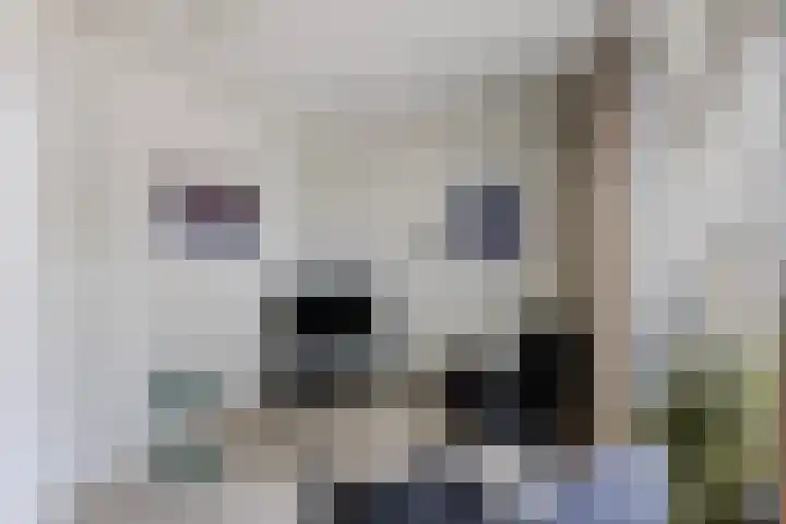 van Wassenhovenstraat 5 Nieuw-Beijerland thumbnail 18