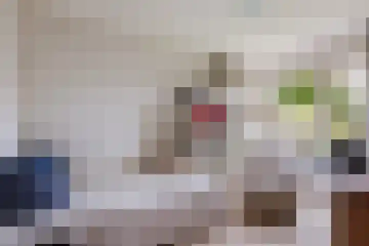 van Wassenhovenstraat 5 Nieuw-Beijerland thumbnail 24