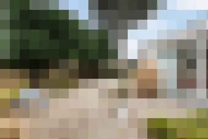 van Wassenhovenstraat 5 Nieuw-Beijerland thumbnail 31
