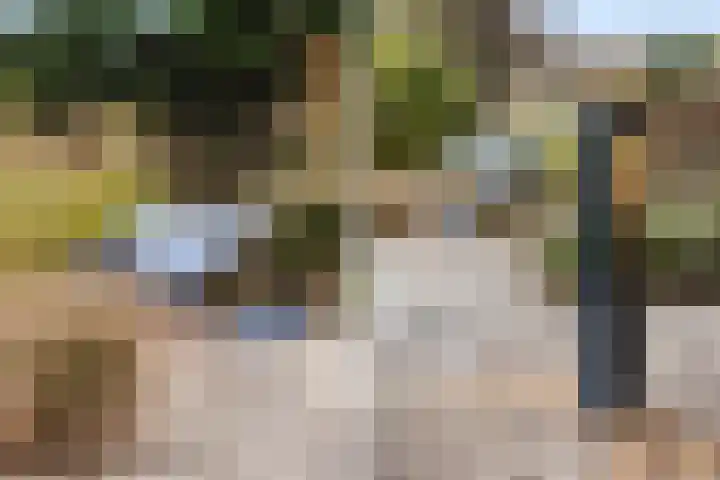 van Wassenhovenstraat 5 Nieuw-Beijerland thumbnail 33