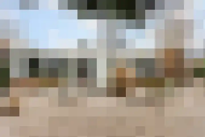 van Wassenhovenstraat 5 Nieuw-Beijerland thumbnail 34