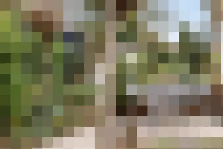 van Wassenhovenstraat 5 Nieuw-Beijerland thumbnail 35