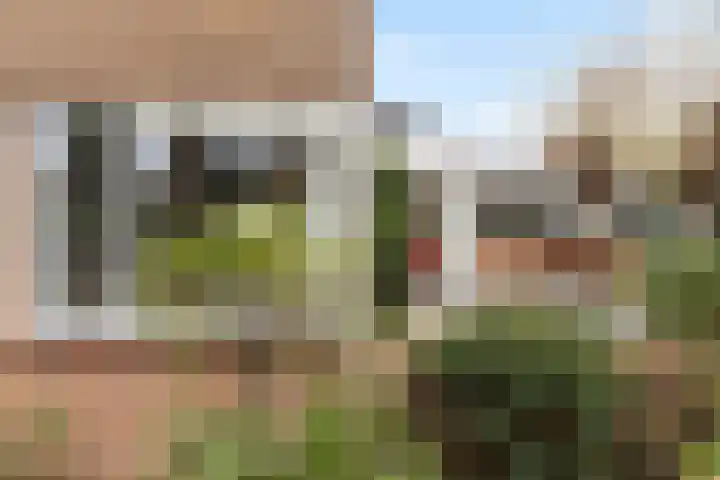van Wassenhovenstraat 5 Nieuw-Beijerland thumbnail 36