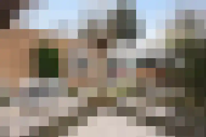 van Wassenhovenstraat 5 Nieuw-Beijerland thumbnail 37
