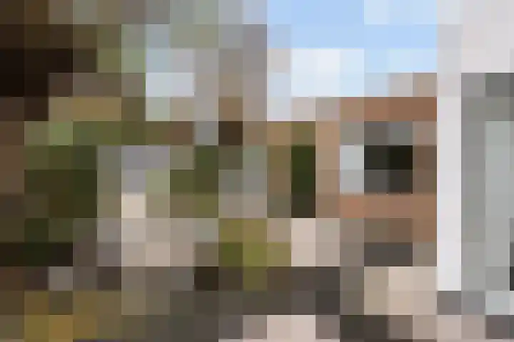 van Wassenhovenstraat 5 Nieuw-Beijerland thumbnail 39