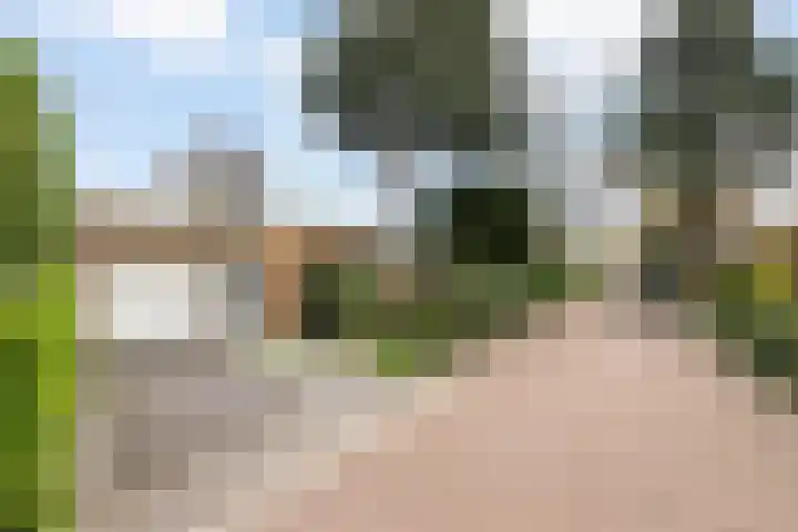 van Wassenhovenstraat 5 Nieuw-Beijerland thumbnail 4