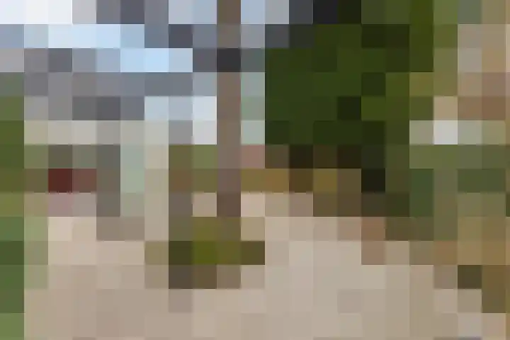 van Wassenhovenstraat 5 Nieuw-Beijerland thumbnail 40