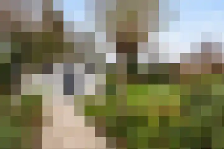 van Wassenhovenstraat 5 Nieuw-Beijerland thumbnail 42