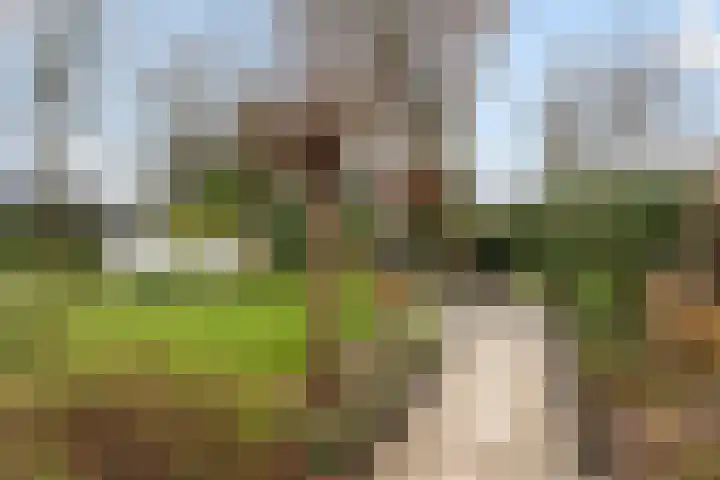 van Wassenhovenstraat 5 Nieuw-Beijerland thumbnail 43