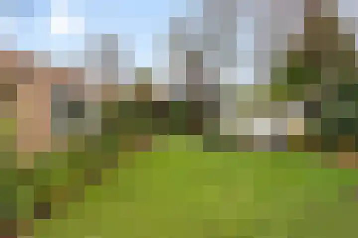 van Wassenhovenstraat 5 Nieuw-Beijerland thumbnail 44