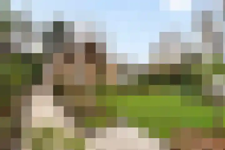 van Wassenhovenstraat 5 Nieuw-Beijerland thumbnail 45