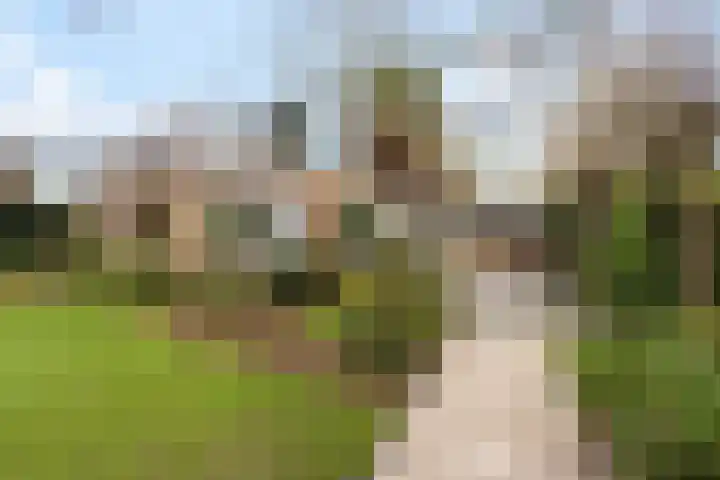 van Wassenhovenstraat 5 Nieuw-Beijerland thumbnail 46