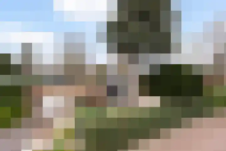 van Wassenhovenstraat 5 Nieuw-Beijerland thumbnail 50