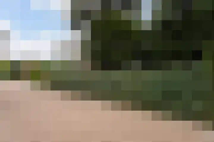 van Wassenhovenstraat 5 Nieuw-Beijerland thumbnail 51