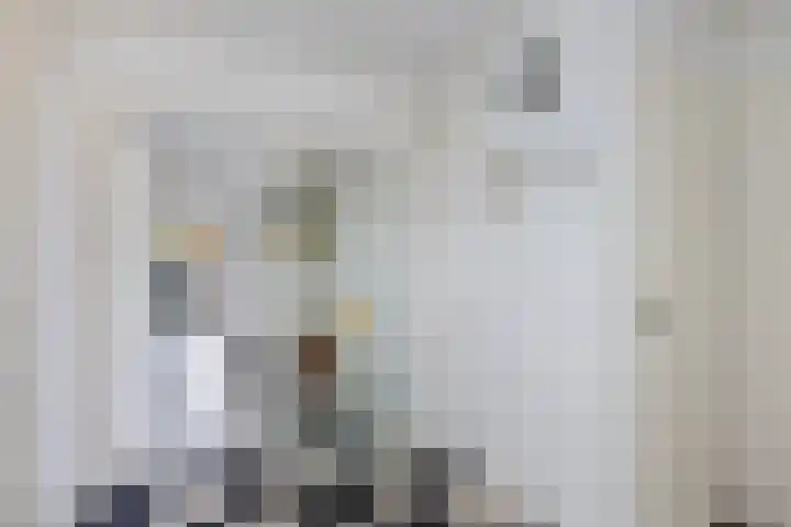 van Wassenhovenstraat 5 Nieuw-Beijerland thumbnail 6
