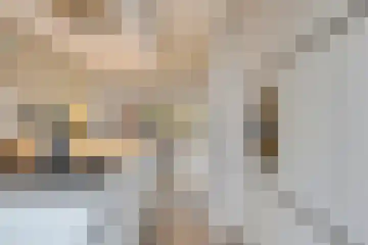 van Wassenhovestraat 25 Eindhoven thumbnail 12